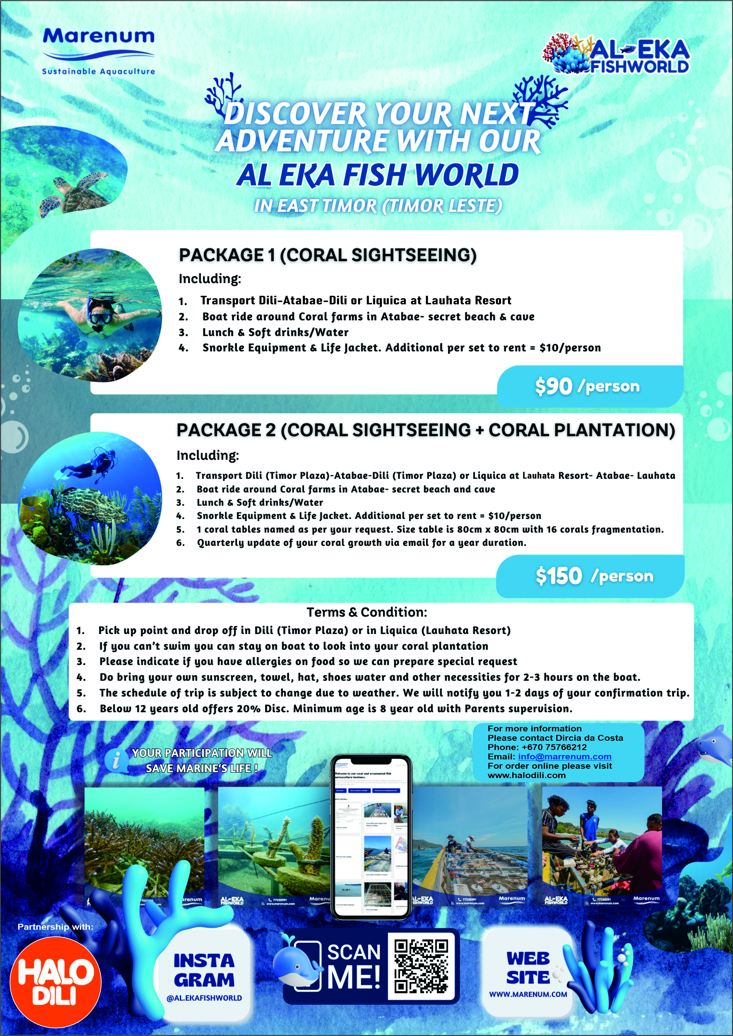 AL Eka Tour Package